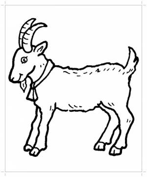 Раскраски живот, Раскраска коза Домашние животные