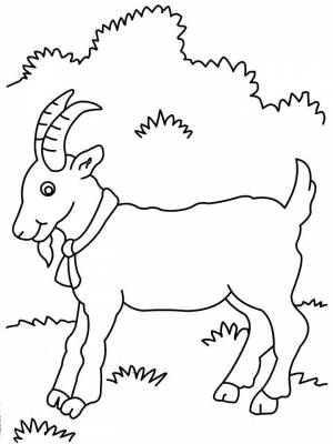 Pаскраска коза 2403