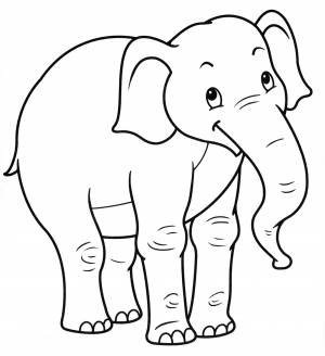 Раскраска Радостный слон