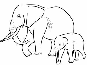 Раскраски Животные, Раскраска Слон со слоненком дикие животные