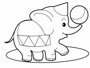 Раскраски Раскраска Слон с мячиком животные на праздники