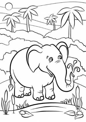 Раскраска Слон