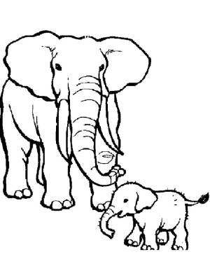 Раскраски слон, Раскраска слон и слоненок слон