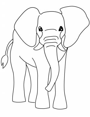 Pаскраска слон 6421