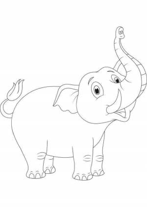 Раскраска Слон слоник