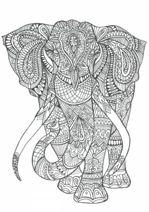 Раскраски дикие, Раскраска раскраска слон Дикие животные