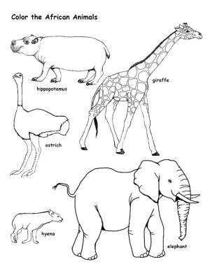 Раскраски Раскраска Животные на английском Дикие животные, Сайт раскрасок