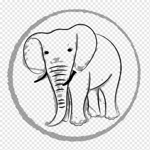 Африканский слон Индийский слон Line art, слон, млекопитающее, животные, хищник png