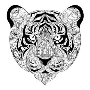 Иллюстрация Раскраска Тигр