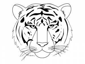 Раскраска голова тигра
