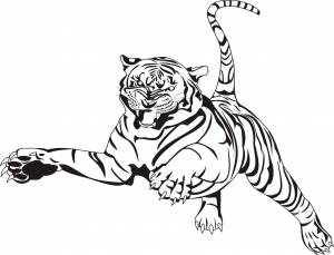 Раскраски Животные, Раскраска Тигр Дикие животные