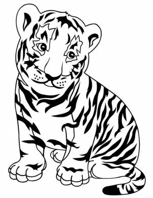 Тигр картинка раскраска