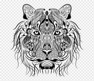 Книжка-раскраска Тигр Лев Рисунок, тигр, белый, ребенок, млекопитающее png
