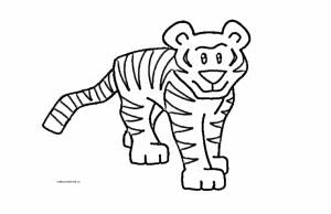 Раскраски тигра