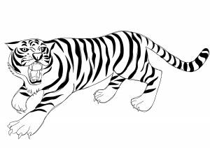 Раскраска Ревущий тигр