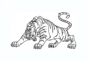 Саблезубый тигр раскраска для детей