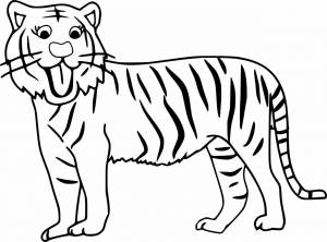Раскраски Тигр для детей 3 4 лет