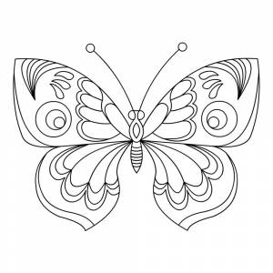 Раскраска Бабочка с большими крыльями