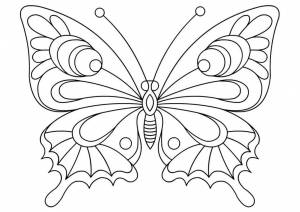 Раскраска «Бабочка»