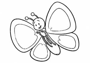 Раскраска Бабочка для малышей