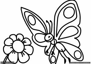 Раскраска Бабочка и цветок