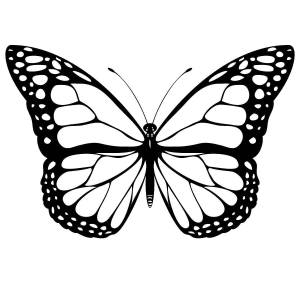 Раскраски Раскраска Бабочка с узорчатыми крыльями бабочка
