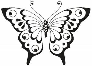 Раскраски бабочки, Сайт раскрасок