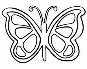 Раскраски Трафарет бабочка
