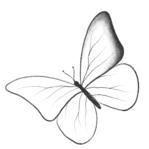 Бабочка рисунок самый простой