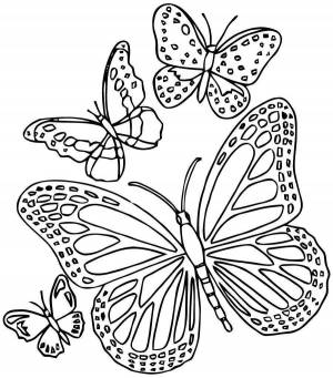 Раскраски Бабочка печать