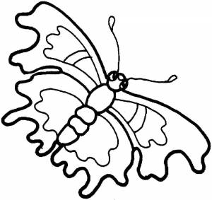 Раскраски Раскраска простая бабочка Насекомые, Раскраска бабочка Насекомые