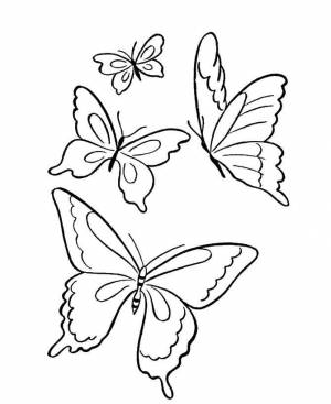 Раскраски Раскраска Бабочки бабочки дорисуй по образцу