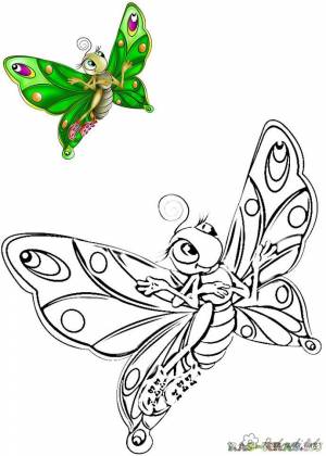раскраски с бабочками для взрослых