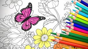 раскраски бабочки в цветочной книжке раскраске для детей, раскраски цветы и бабочки фон картинки и Фото для й загрузки