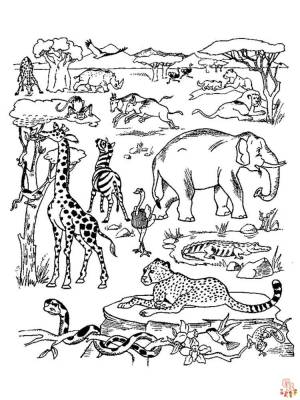 Раскраски Африканские животные