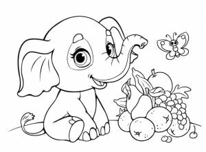 Книжка-раскраска маленький ребенок слоненок и фрукты черно-белый контур зоопарк животные африки