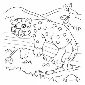 Раскраска ягуар для детей