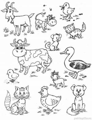 Раскраски Для детей 3 4 лет дикие животные и их детеныши