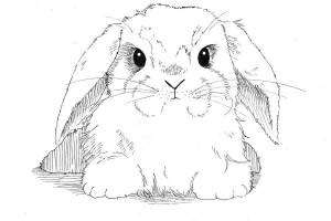 Раскраски Раскраска Милый взгляд кролик на праздники