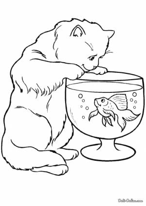 Раскраска Кот и золотая рыбка