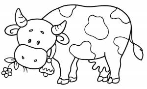 Раскраска «Корова кушает травку»