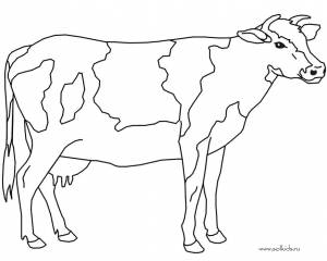 Раскраски животные, Раскраска Корова Домашние животные