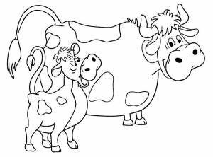 Раскраска «Корова с телёнком»