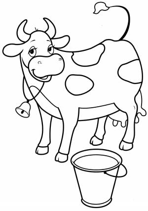 Раскраска «Корова и ведро молока»