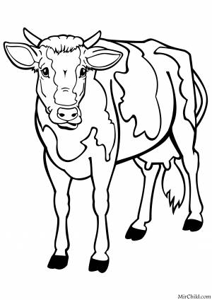 Раскраски Корова
