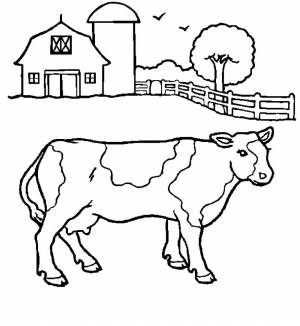 Раскраска «Корова на ферме»
