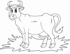 раскраски корова