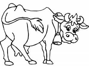 Раскраски смешная, Раскраска Раскраска корова смешная корова Корова