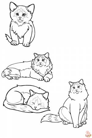 Раскраски Типы кошек