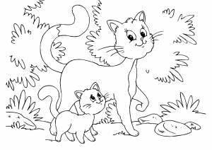 Раскраски кошки для детей